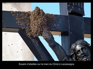 Essaim d’abeilles sur la main du Christ à Lacassaigne
 