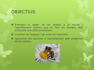 OBJECTIUS
 Entendre el paper de les abelles a la natura i
l’aprofitament històric que en fem els humans dels
productes que elles produeixen.
 Conèixer les tasques i les eines de l’apicultor.
 Aproximar als alumnes a l’aprofitament dels productes
de les abelles.

 