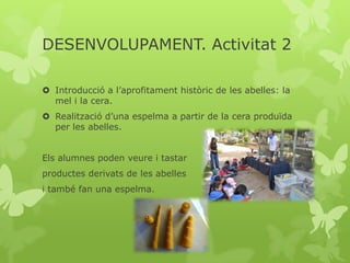 DESENVOLUPAMENT. Activitat 2
 Introducció a l’aprofitament històric de les abelles: la
mel i la cera.
 Realització d’una espelma a partir de la cera produïda
per les abelles.
Els alumnes poden veure i tastar
productes derivats de les abelles
i també fan una espelma.

 