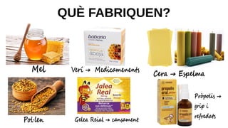 QUÈ FABRIQUEN?
Mel Cera → Espelma
Verí → Medicamenents
Pol·len Gelea Reial → cansament
Pròpolis →
grip i
refredats
 