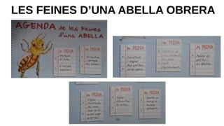 LES FEINES D’UNA ABELLA OBRERA
 