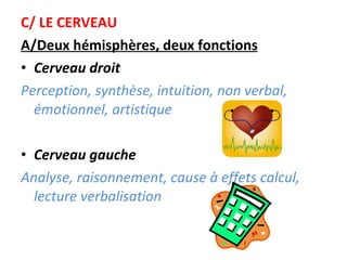 C/ LE CERVEAU A/Deux hémisphères, deux fonctions Cerveau droit Perception, synthèse, intuition, non verbal, émotionnel, artistique Cerveau gauche Analyse, raisonnement, cause à effets calcul, lecture verbalisation   