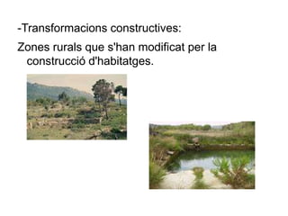 -Transformacions constructives:
Zones rurals que s'han modificat per la
construcció d'habitatges.
 