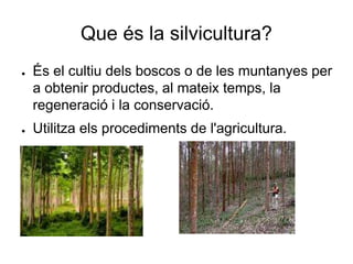 Que és la silvicultura?
● És el cultiu dels boscos o de les muntanyes per
a obtenir productes, al mateix temps, la
regeneració i la conservació.
● Utilitza els procediments de l'agricultura.
 