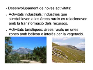 - Desenvolupament de noves activitats:
● Activitats industrials: indústries que
s'instal·laven a les àrees rurals es relacionaven
amb la transformació dels recursos.
● Activitats turístiques: àrees rurals en unes
zones amb bellesa o interés per la vegetació.
 