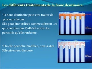 Les différents traitements de la boue dentinaire:
*la boue dentinaire peut être traiter de
plusieurs façons:
Elle peut être utilisée comme substrat , ce
qui veut dire que l’adhésif utilise les
porosités qu’elle renferme.
*Ou elle peut être modifiée, c’est-à-dire
Sélectivement dissoute.
 