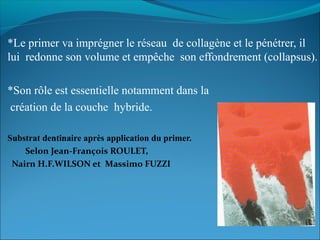 *Le primer va imprégner le réseau de collagène et le pénétrer, il
lui redonne son volume et empêche son effondrement (collapsus).
*Son rôle est essentielle notamment dans la
création de la couche hybride.
Substrat dentinaire après application du primer.
Selon Jean-François ROULET,
Nairn H.F.WILSON et Massimo FUZZI
 