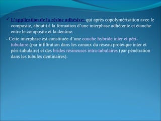  L’application de la résine adhésive: qui après copolymérisation avec le
composite, aboutit à la formation d’une interphase adhérente et étanche
entre le composite et la dentine.
- Cette interphase est constituée d’une couche hybride inter et péri-
tubulaire (par infiltration dans les canaux du réseau protéique inter et
péri-tubulaire) et des brides résineuses intra-tubulaires (par pénétration
dans les tubules dentinaires).
 