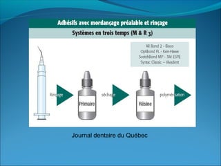 Journal dentaire du Québec
 
