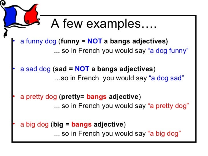 les-adjectifs-bags-bangs