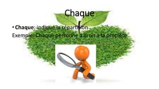 Chaque
• Chaque: indique la répartition
Exemple: Chaque personne a droit à la propiété