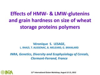 Effects of HMW- & LMW-glutenins
and grain hardness on size of wheat
     storage proteins polymers

                Véronique S. LESAGE,
      L. RHAZI, T. AUSSENAC, B. MELEARD, G. BRANLARD

INRA, Genetics, Diversity and Ecophysiology of Cereals,
              Clermont-Ferrand, France


              11th International Gluten Workshop, August 12-15, 2012
 