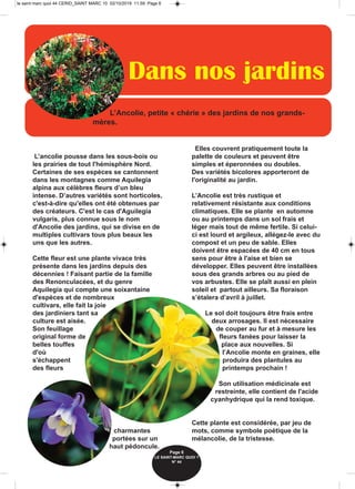 Elles couvrent pratiquement toute la
palette de couleurs et peuvent être
simples et éperonnées ou doubles.
Des variétés bicolores apporteront de
l'originalité au jardin.
L’Ancolie est très rustique et
relativement résistante aux conditions
climatiques. Elle se plante en automne
ou au printemps dans un sol frais et
léger mais tout de même fertile. Si celui-
ci est lourd et argileux, allégez-le avec du
compost et un peu de sable. Elles
doivent être espacées de 40 cm en tous
sens pour être à l'aise et bien se
développer. Elles peuvent être installées
sous des grands arbres ou au pied de
vos arbustes. Elle se plaît aussi en plein
soleil et partout ailleurs. Sa floraison
s’étalera d’avril à juillet.
Le sol doit toujours être frais entre
deux arrosages. Il est nécessaire
de couper au fur et à mesure les
fleurs fanées pour laisser la
place aux nouvelles. Si
l’Ancolie monte en graines, elle
produira des plantules au
printemps prochain !
Son utilisation médicinale est
restreinte, elle contient de l'acide
cyanhydrique qui la rend toxique.
Cette plante est considérée, par jeu de
mots, comme symbole poétique de la
mélancolie, de la tristesse.
L’ancolie pousse dans les sous-bois ou
les prairies de tout l'hémisphère Nord.
Certaines de ses espèces se cantonnent
dans les montagnes comme Aquilegia
alpina aux célèbres fleurs d’un bleu
intense. D’autres variétés sont horticoles,
c'est-à-dire qu'elles ont été obtenues par
des créateurs. C'est le cas d'Aguilegia
vulgaris, plus connue sous le nom
d'Ancolie des jardins, qui se divise en de
multiples cultivars tous plus beaux les
uns que les autres.
Cette fleur est une plante vivace très
présente dans les jardins depuis des
décennies ! Faisant partie de la famille
des Renonculacées, et du genre
Aquilegia qui compte une soixantaine
d'espèces et de nombreux
cultivars, elle fait la joie
des jardiniers tant sa
culture est aisée.
Son feuillage
original forme de
belles touffes
d'où
s'échappent
des fleurs
charmantes
portées sur un
haut pédoncule.
Dans nos jardins
Page 6
LE SAINT-MARC QUOI ? 
N° 44
L’Ancolie, petite « chérie » des jardins de nos grands-
mères.
le saint marc quoi 44 CERID_SAINT MARC 10 02/10/2019 11.59 Page 6
 