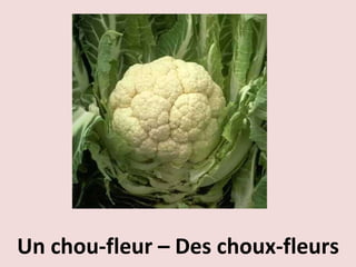 Un chou-fleur – Des choux-fleurs 