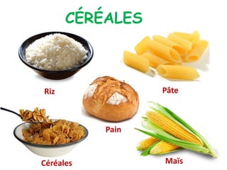 Riz Pâte
Céréales Maïs
CÉRÉALES
Pain