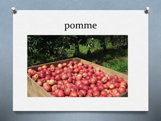 pomme
 