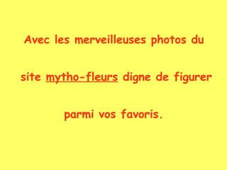 Avec les merveilleuses photos du site  mytho-fleurs  digne de figurer  parmi vos favoris. 