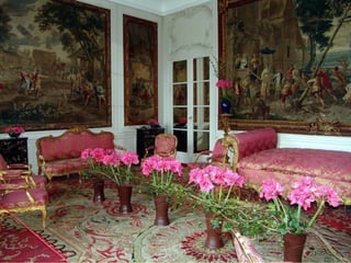 Les_amaryllis_de_Beloeil.pps