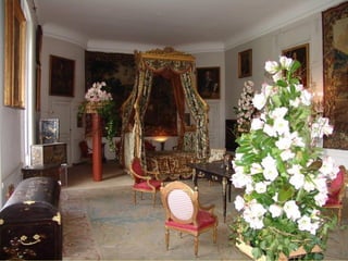 Les_amaryllis_de_Beloeil.pps