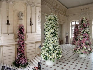 Les_amaryllis_de_Beloeil.pps