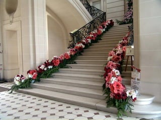 Les_amaryllis_de_Beloeil.pps