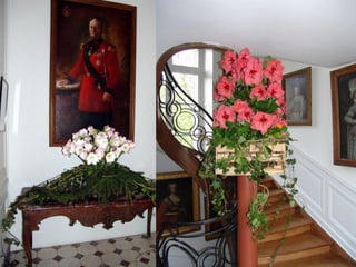 Les_amaryllis_de_Beloeil.pps