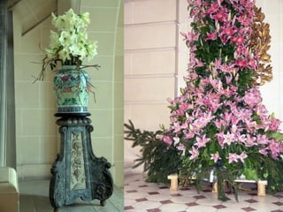 Les_amaryllis_de_Beloeil.pps