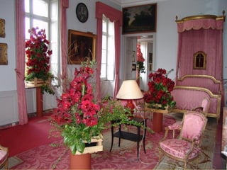 Les_amaryllis_de_Beloeil.pps