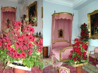 Les_amaryllis_de_Beloeil.pps