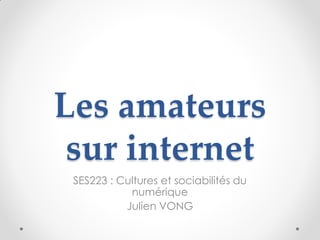 Les amateurs
 sur internet
 SES223 : Cultures et sociabilités du
            numérique
           Julien VONG
 