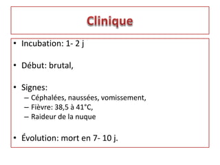 • Incubation: 1- 2 j
• Début: brutal,
• Signes:
– Céphalées, naussées, vomissement,
– Fièvre: 38,5 à 41°C,
– Raideur de la nuque
• Évolution: mort en 7- 10 j.
 