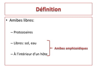 • Amibes libres:
– Protozoaires
– Libres: sol, eau
– À l’intérieur d’un hôte
 