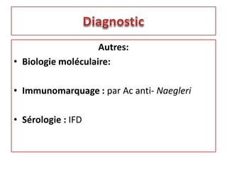 Autres:
• Biologie moléculaire:
• Immunomarquage : par Ac anti- Naegleri
• Sérologie : IFD
 