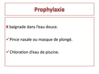 X baignade dans l’eau douce.
Pince nasale ou masque de plongé.
Chloration d’eau de piscine.
 