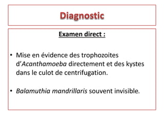 Examen direct :
• Mise en évidence des trophozoites
d’Acanthamoeba directement et des kystes
dans le culot de centrifugation.
• Balamuthia mandrillaris souvent invisible.
 