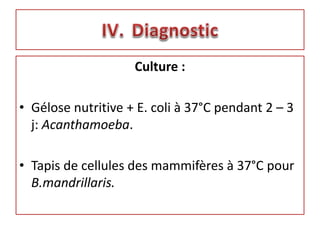 Culture :
• Gélose nutritive + E. coli à 37°C pendant 2 – 3
j: Acanthamoeba.
• Tapis de cellules des mammifères à 37°C pour
B.mandrillaris.
 