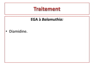 EGA à Balamuthia:
• Diamidine.
 