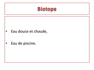• Eau douce et chaude,
• Eau de piscine.
 