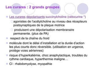 Les curares : 2 grands groupes
 Les curares dépolarisants:succinylcholine (célocurine *)
agonistes de l’acétylcholine au niveau des récepteurs
postsynaptiques de la plaque motrice
 produisent une dépolarisation membranaire
permanente. (plus de PA)
 respect de la chaîne du froid
 molécule dont le délai d’installation et la durée d’action
les plus courts donc réversible. (utilisation en urgence,
protège voies aériennes)
 risque d’hyperkaliémie, choc anaphylactique, troubles du
rythme cardiaque, hyperthermie maligne…
 CI : rhabdomyolyse, myopathie
 