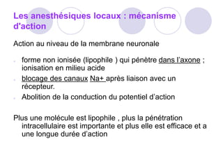 Les anesthésiques locaux : mécanisme
d'action
Action au niveau de la membrane neuronale
● forme non ionisée (lipophile ) qui pénètre dans l’axone ;
ionisation en milieu acide
● blocage des canaux Na+ après liaison avec un
récepteur.
● Abolition de la conduction du potentiel d’action
Plus une molécule est lipophile , plus la pénétration
intracellulaire est importante et plus elle est efficace et a
une longue durée d’action
 