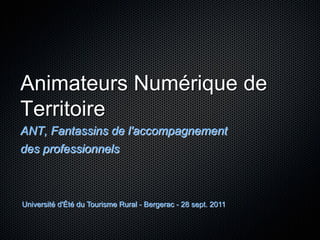 Animateurs Numérique de
Territoire
ANT, Fantassins de l'accompagnement
des professionnels



Université d'Été du Tourisme Rural - Bergerac - 28 sept. 2011
 