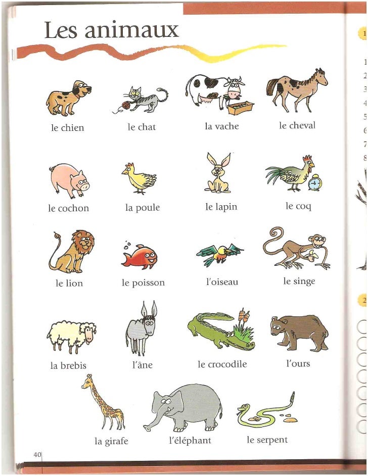 Les Animaux Les Animaux