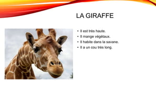 LA GIRAFFE
• Il est très haute.
• Il mange végétaux.
• Il habite dans la savane.
• Il a un cou très long.
 