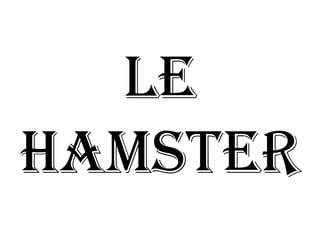 LE
HAMSTER
 