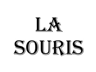 LA
SOURIS
 