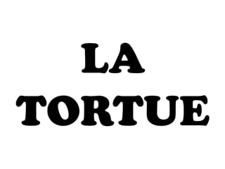 LA
TORTUE
 