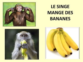 LE SINGE
MANGE DES
BANANES
 
