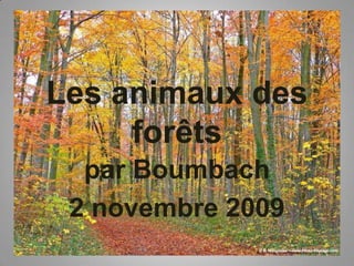 Les animaux des forêts  par Boumbach 2 novembre 2009 