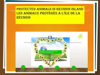 Protected animals in reunion island
les animaux Protégés à l’Île de la
réunion
 