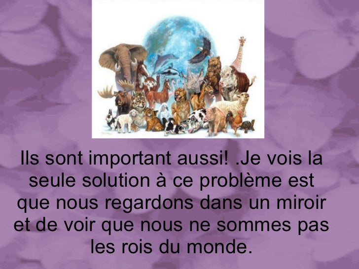 Les Animaux En Voie De Disparition